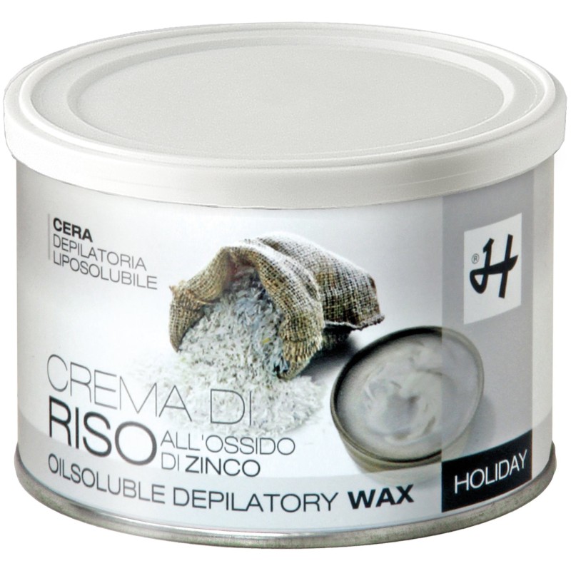 Special Flavors Holiday Rice Cream Wax 400ml